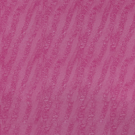 Fern